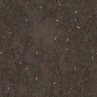 Asset preview
